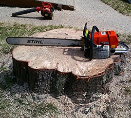 RB Tree Service Saw