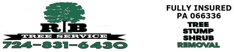 RB Tree Service Logo